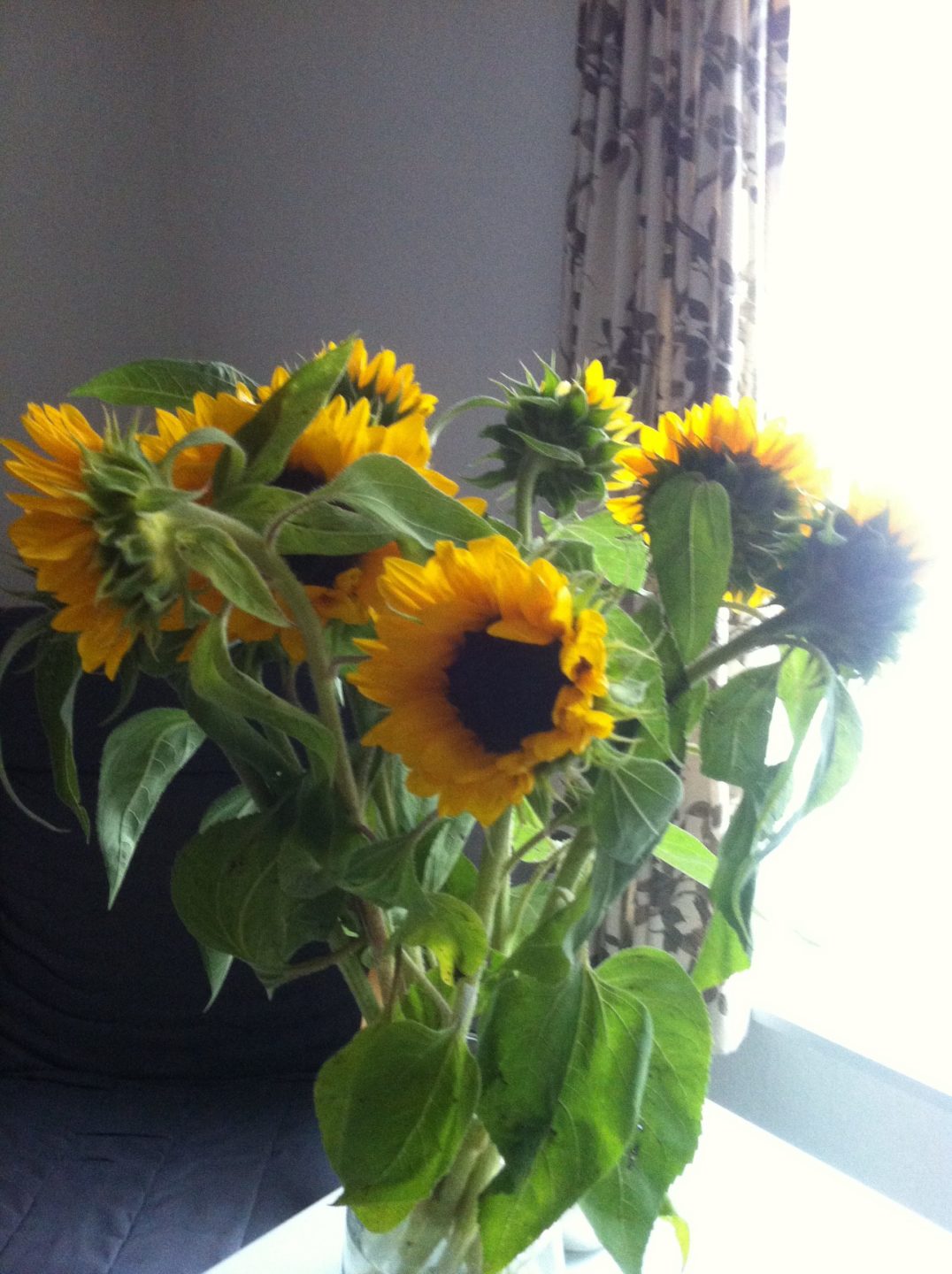 Sonnenblumen Vase