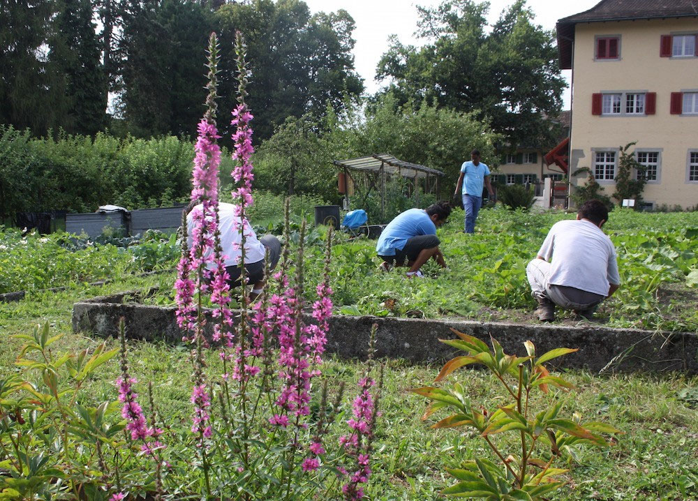 Flüchtlinge im Kapuzinergarten Luzern