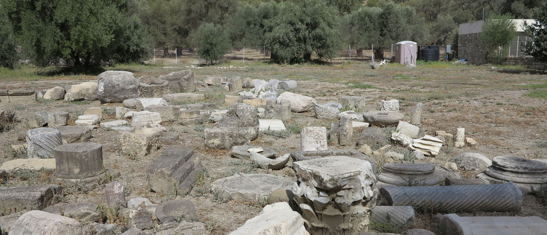 "Heidnische" Tempelruinen in Gortys/Kreta - wo Zeus sich mit Europa vergnügte ... © Walter Ludin