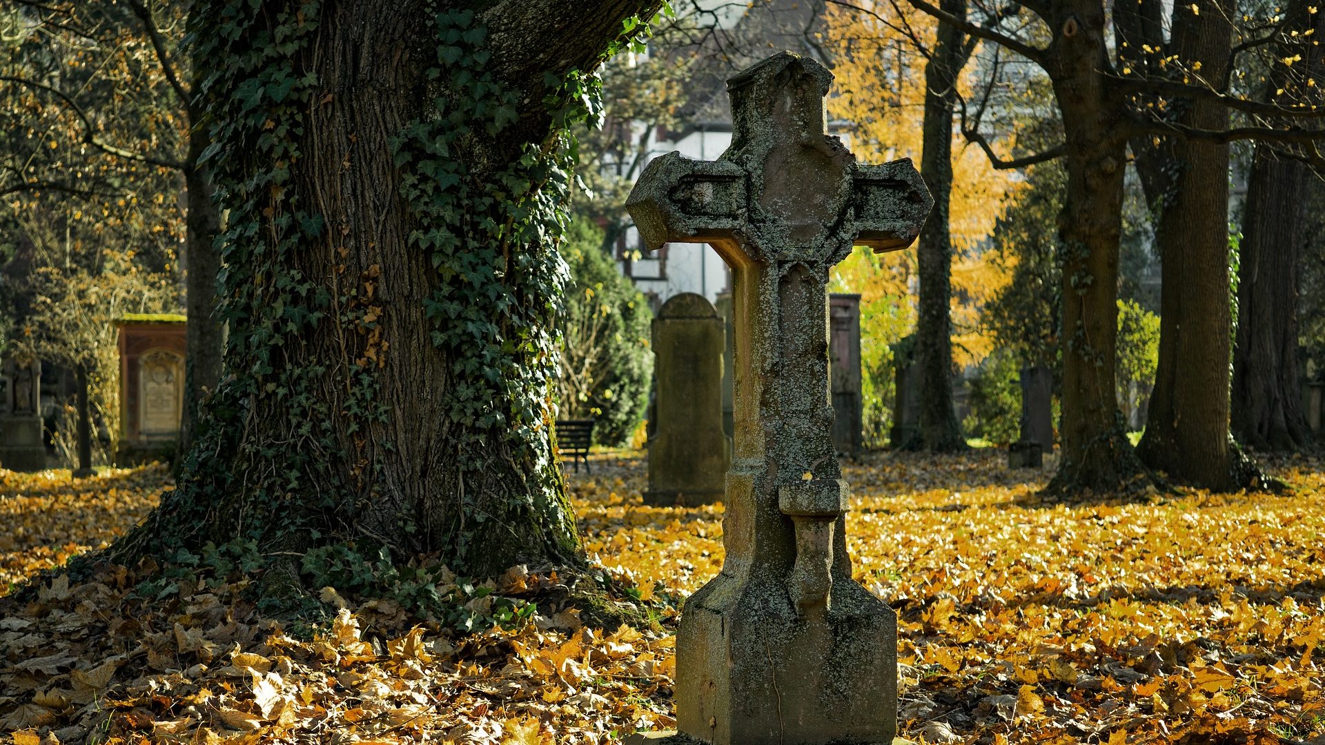 Friedhof im Herbst