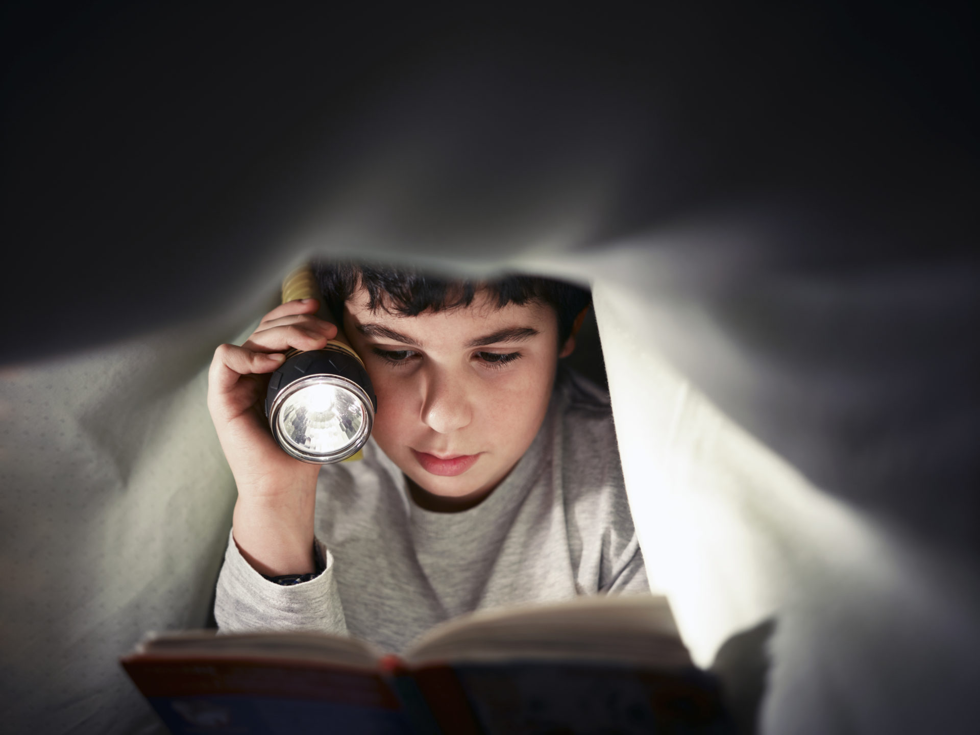 Bild Shutterstock