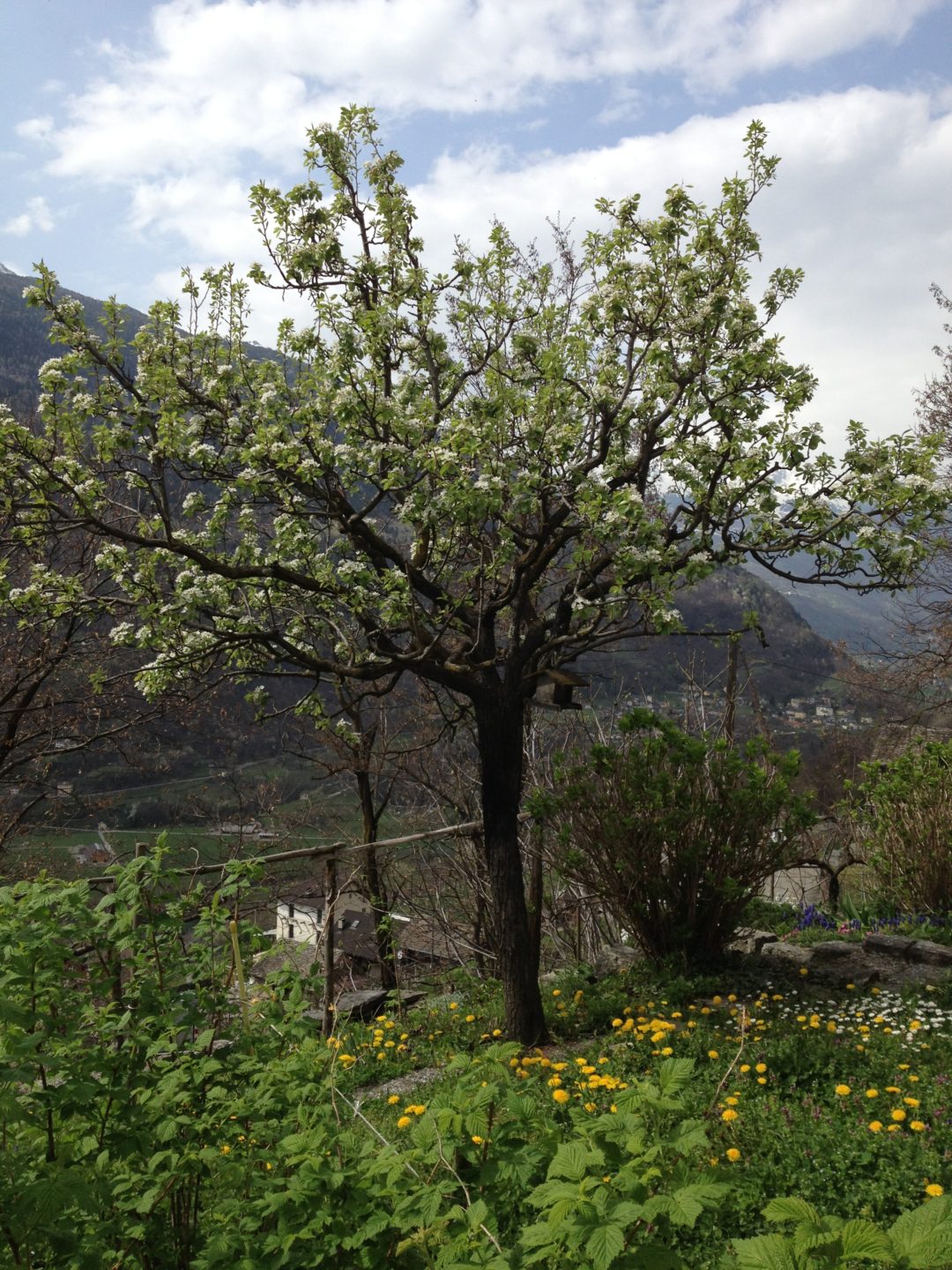 Ostern in Tagnugna