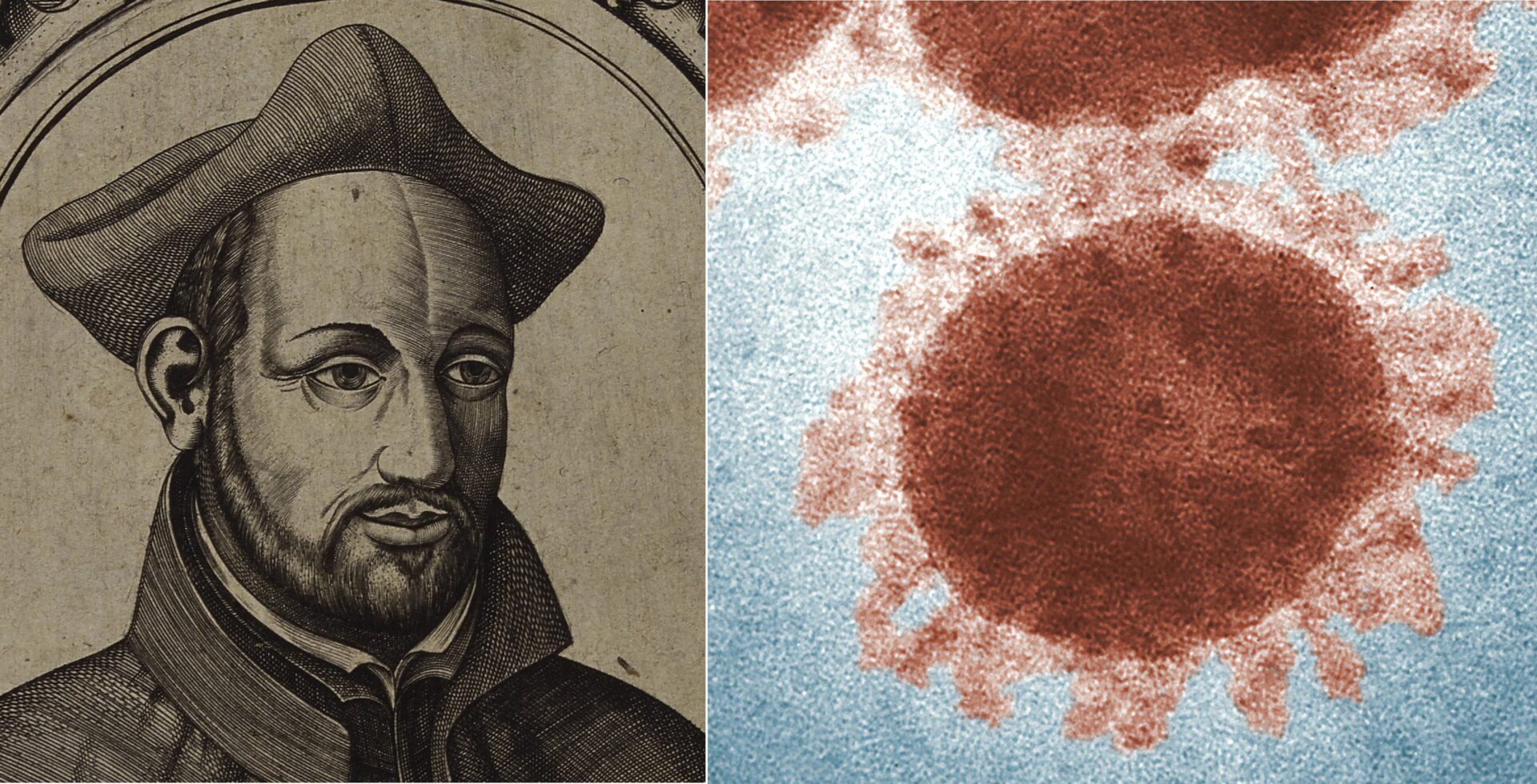 Ignatius mit Virus. Bilder: Wikimedia Commons/CDC auf unsplash
