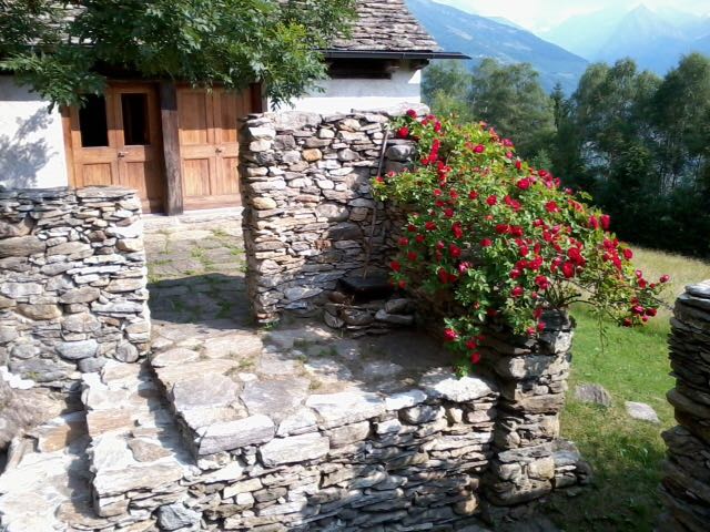 Immer noch die Alp