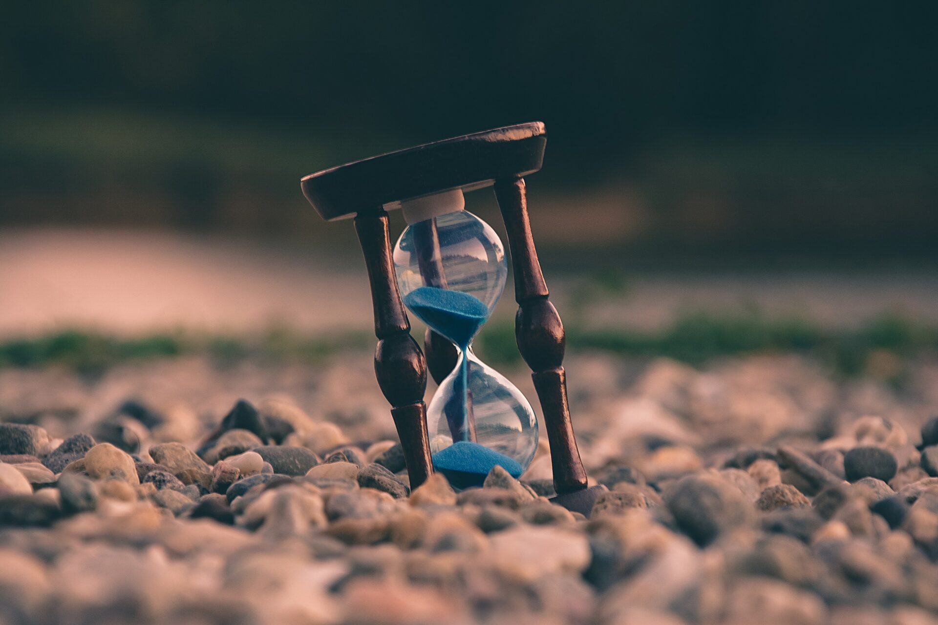 Bild: aron visuals auf unsplash.com