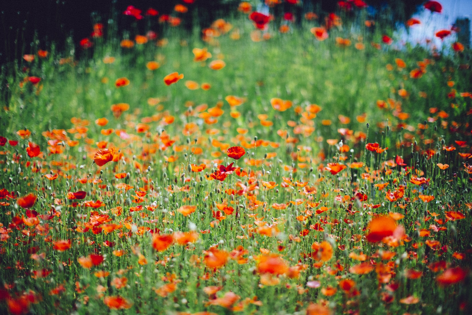 Bild unsplash