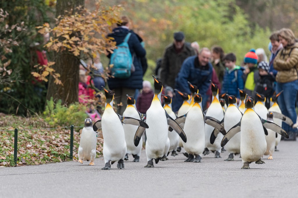 Bild Quelle Zoobasel.ch