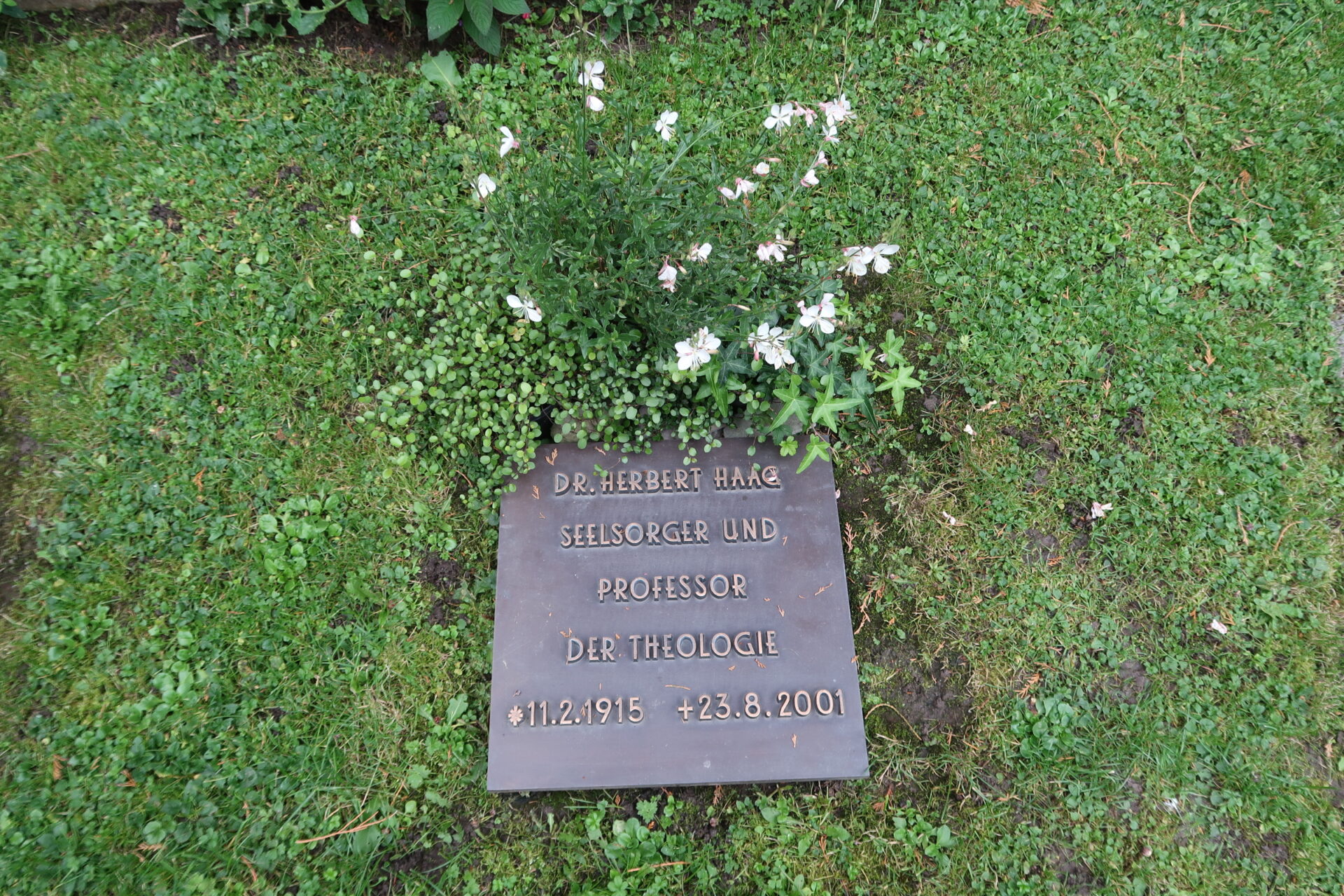 Das Grab von Herbert Haag hinter der Luzerner Hofkirche ©  Walter Ludin