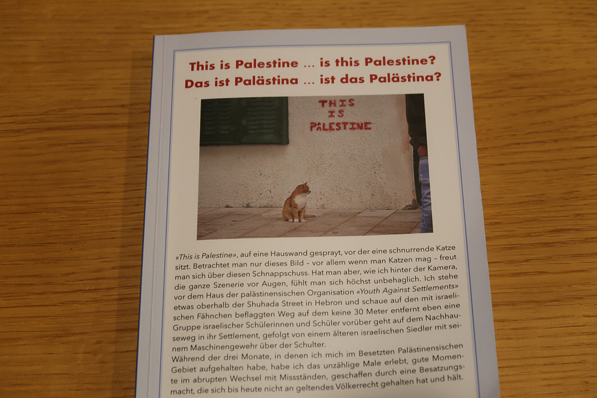 Cover des Palästina-Buches © zvg