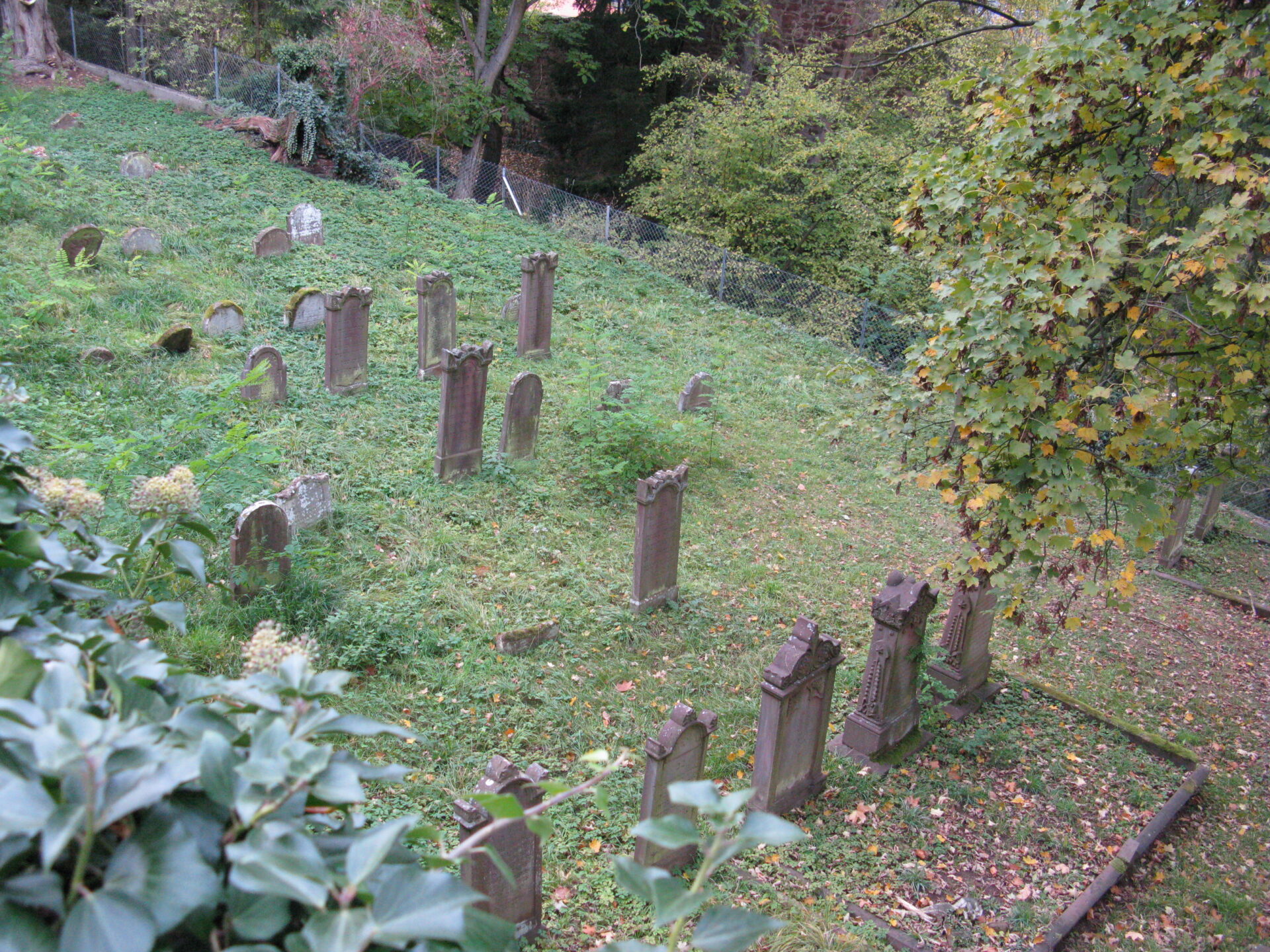 Der Weg ins Jenseits führt über den Tod,jüdischer Friedhof Miltenberg. © Walter Ludin