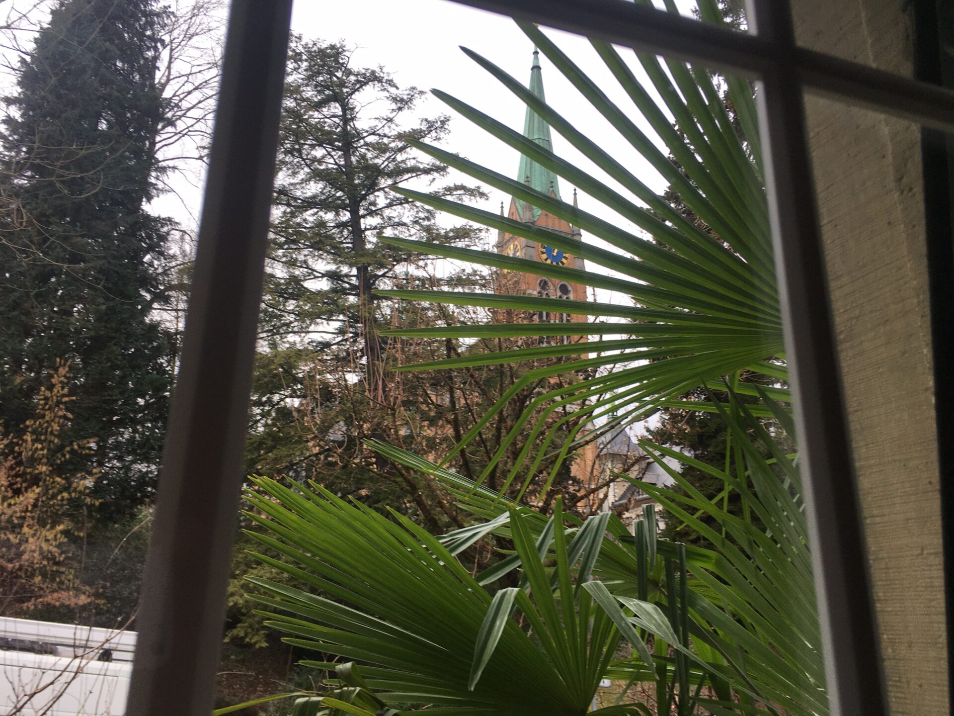 Blick aus meinem Zimmerfenster im Stadtkloster 
Bild: Karin Reinmüller
