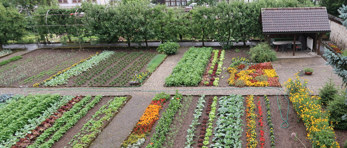 Auch Blumen und Pflanzen freuen sich in der Bibel (Garten des Kapuzinerklosters Schwyz)  © Walter Ludin